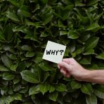 Is this a conversion or a traffic issue?